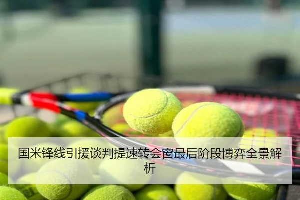 国米锋线引援谈判提速转会窗最后阶段博弈全景解析